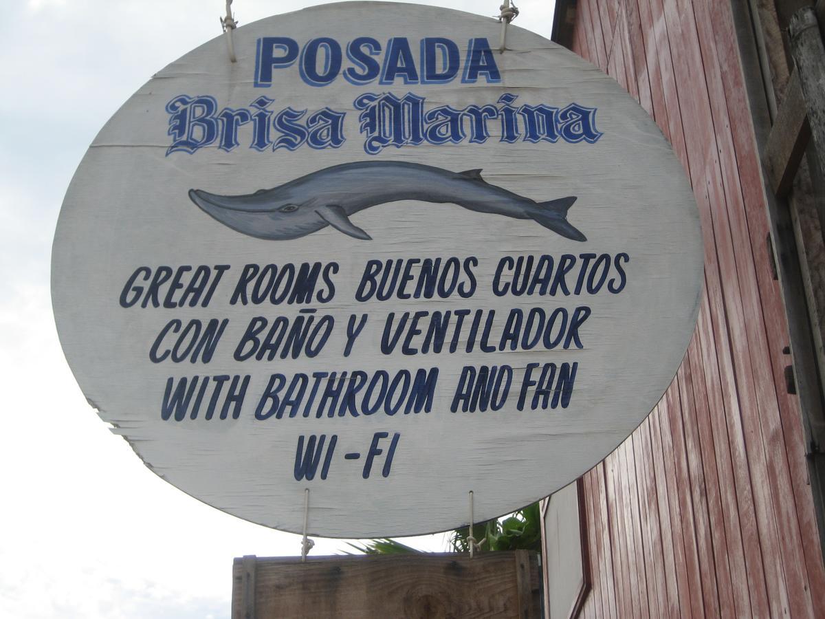 Posada Brisa Marina Hostel Zipolite Exterior foto